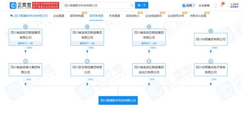 五粮液联手华西集团成立2亿元新公司，区块链技术成核心经营范围