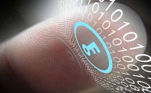 区块链动态2021年1月29日午参速递 技术软件与服务发展新趋势